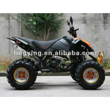 250ccm Quad-Bike mit der EWG (ökonomisches Modell)